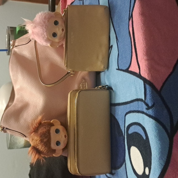 VALENTINE'S Day Pink 💘💞💗💖💝💘💓🩷🩷Coach Hallie Bag W/coach Wallet, Wristlet - Picture 11 of 14